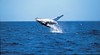 Hervey Bay