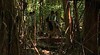 Holmes Jungle Nature Park
