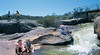John Forrest National Park