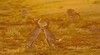 Kakadu and Arnhem Land