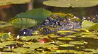 Kakadu National Park