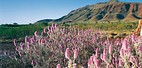 Karijini National Pa..