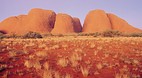 Kata Tjuta (The Olga..
