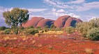 Kata Tjuta (The Olga..