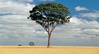 Kellerberrin