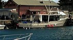 Kiama