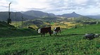 Killarney