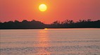 King Ash Bay