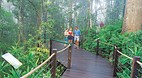 Kuranda