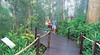 Kuranda