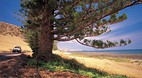 Lady Bay