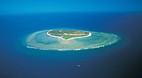 Lady Elliot Island