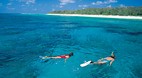 Lady Elliot Island