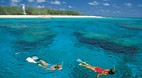 Lady Elliot Island