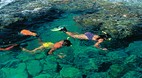 Lady Elliot Island