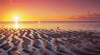 Lady Elliot Island