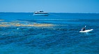 Lady Musgrave Island