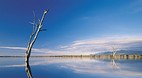 Lake Bellfield