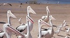 Lake Eyre