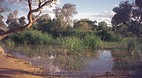 Lake Eyre