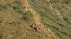 Larapinta Trail