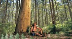 Leeuwin - Naturalist..
