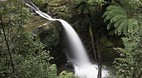 Liffey Falls