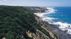 Lorne