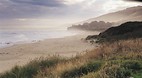 Lorne
