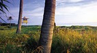 Main Beach
