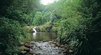 Maleny