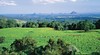 Maleny