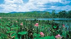 Mareeba