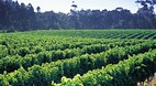 Margaret River