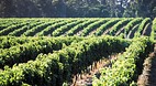 Margaret River