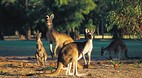 Margaret River