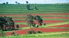 Maryborough