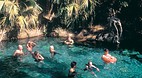 Mataranka Thermal Po..