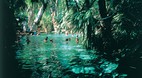 Mataranka Thermal Po..
