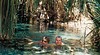 Mataranka Thermal Pool