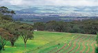 McLaren Vale