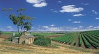 McLaren Vale