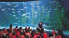 Melbourne Aquarium