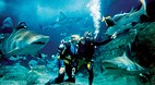 Melbourne Aquarium