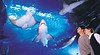 Melbourne Aquarium