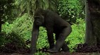 Melbourne Zoo