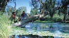 Millstream-Chicheste..