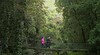 Minnamurra Rainforest