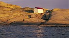Montague Island