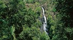Montville